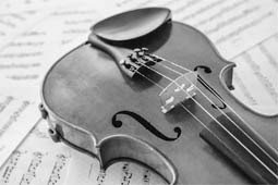 Violin